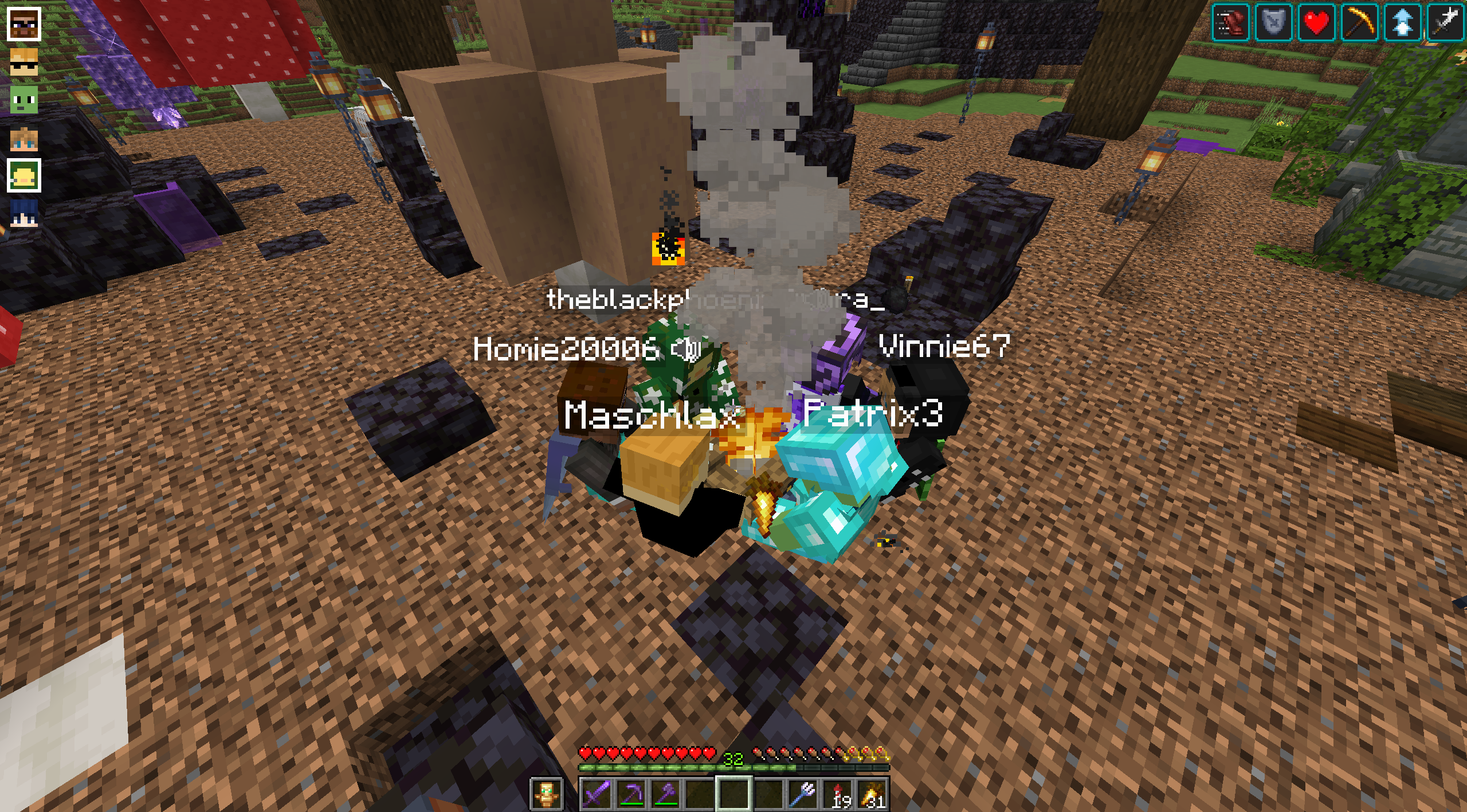 Homie20006_Besuch_vogelperspektive.png